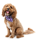 Spooky Spirits Bandana