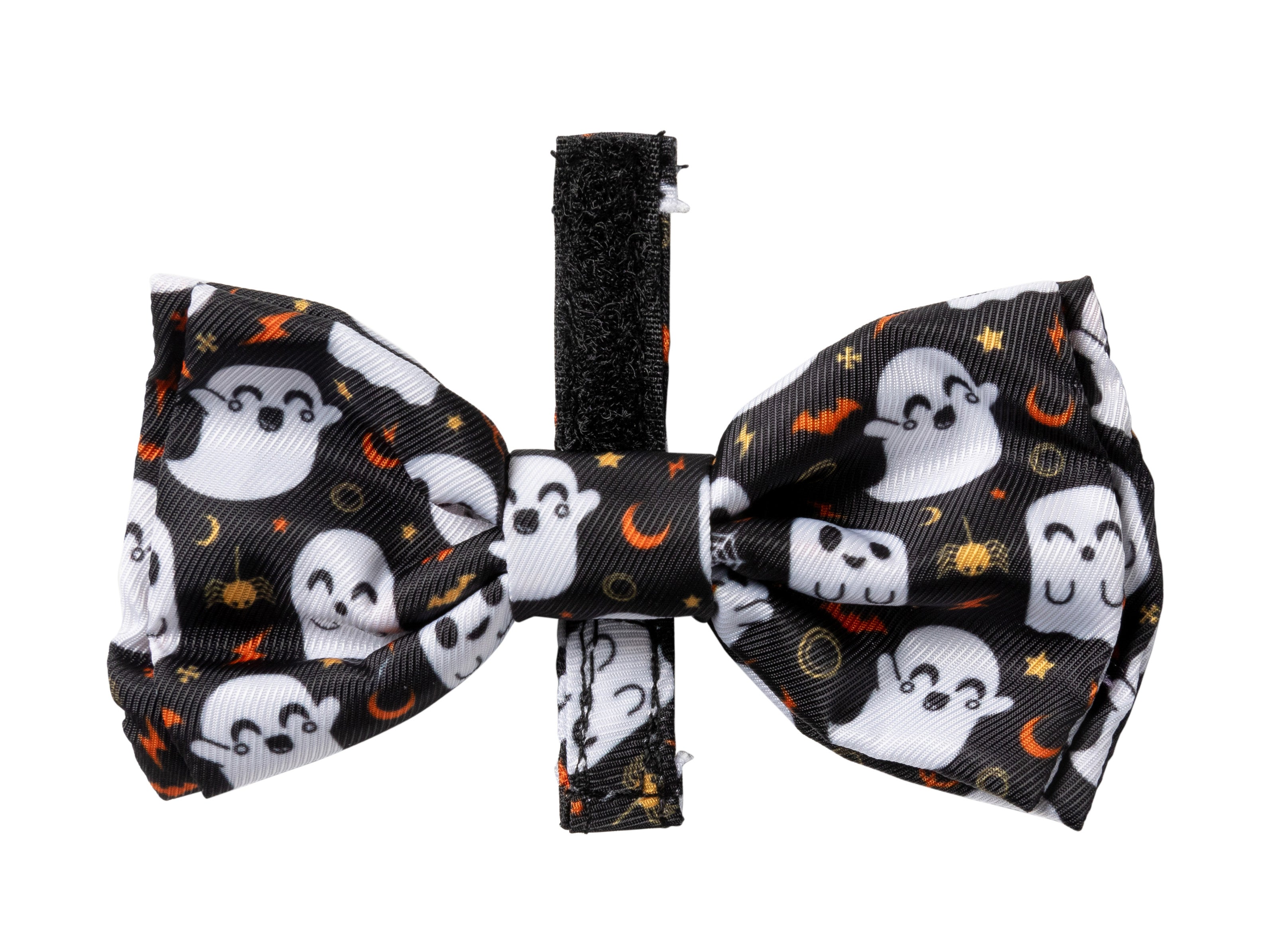 Peek-a-boo Bowtie