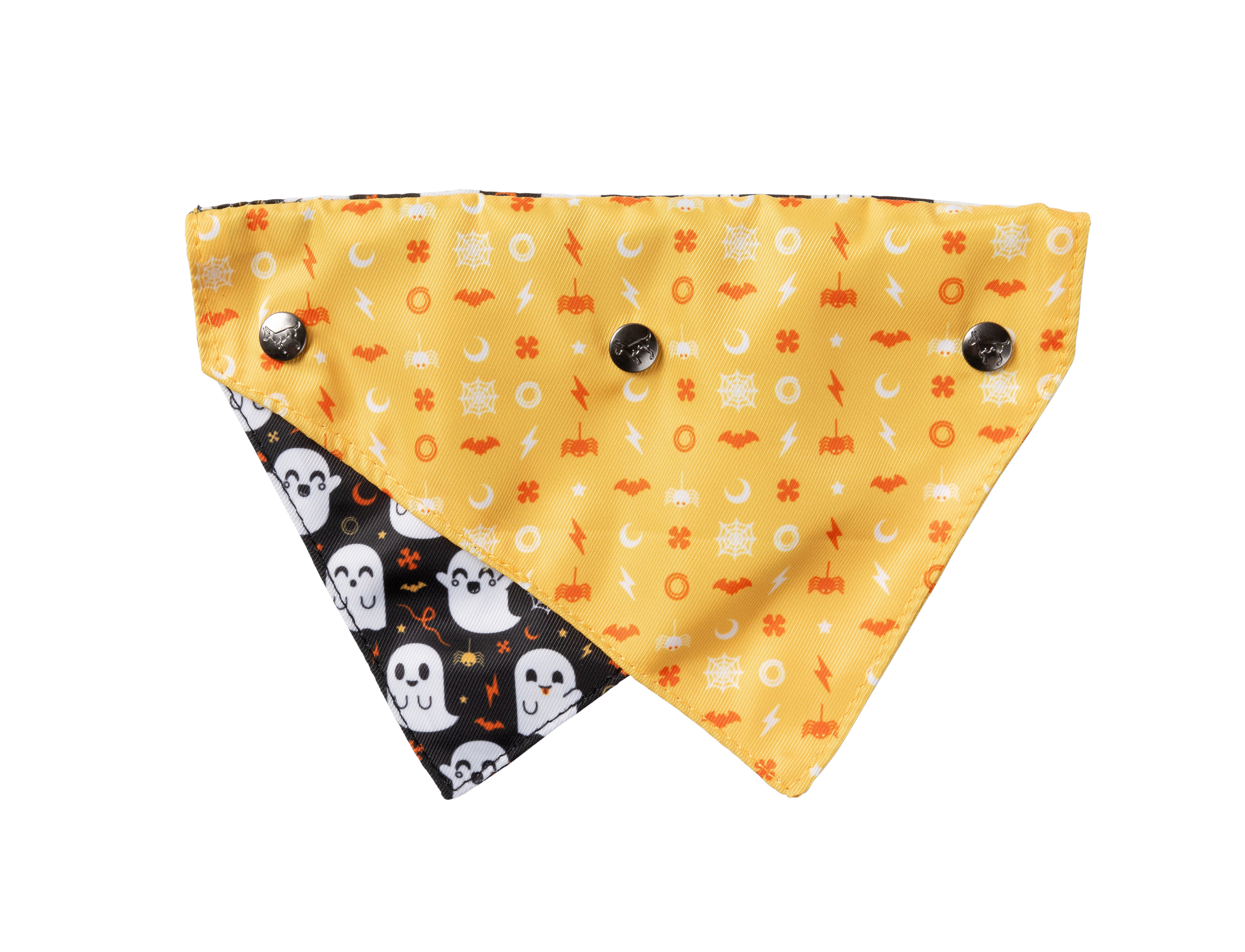 Peek-a-boo Bandana