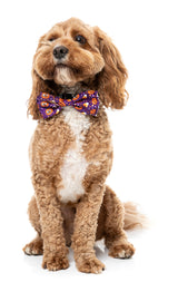 Goofy Gourds Bowtie