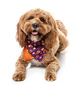 Goofy Gourds Bandana