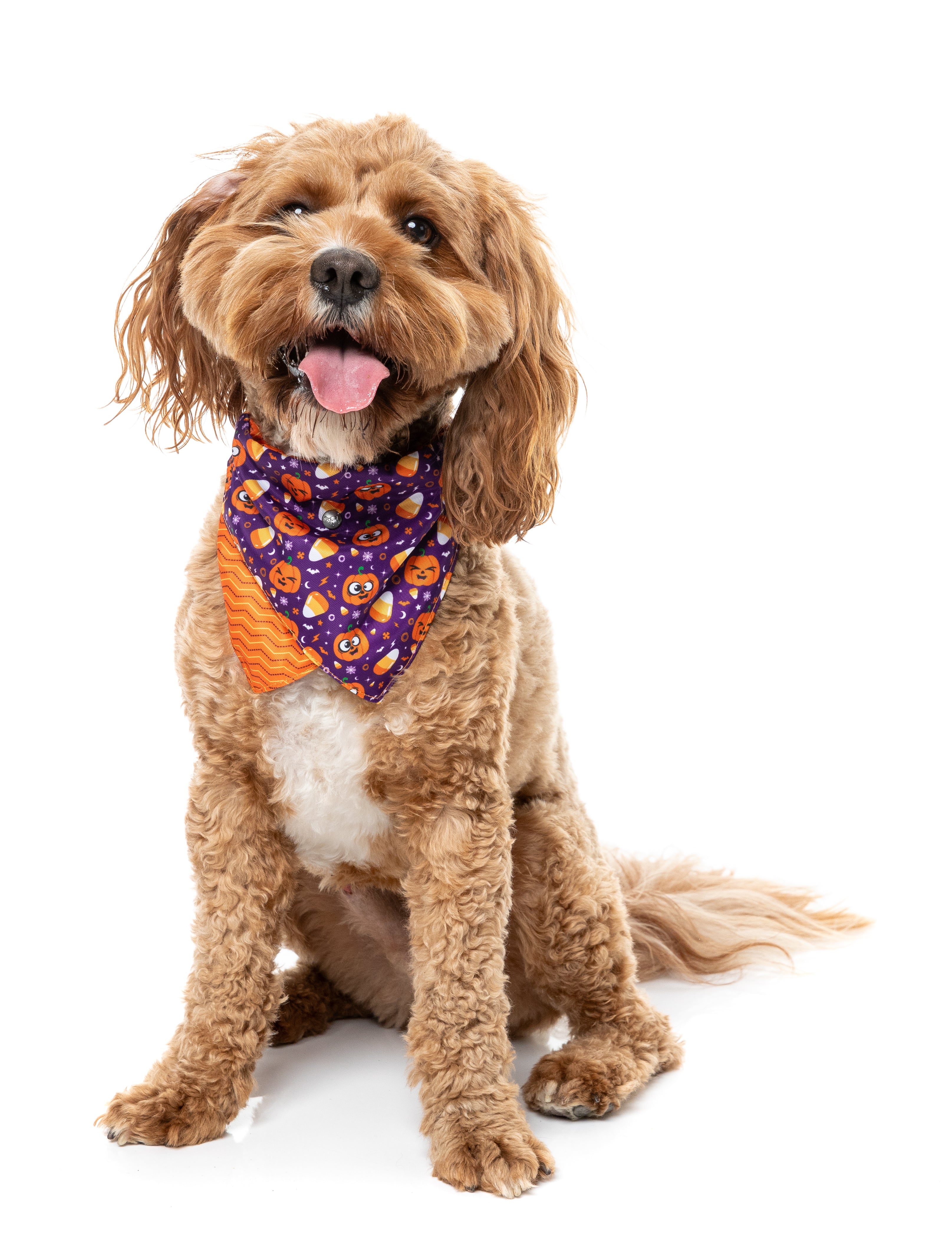 Goofy Gourds Bandana