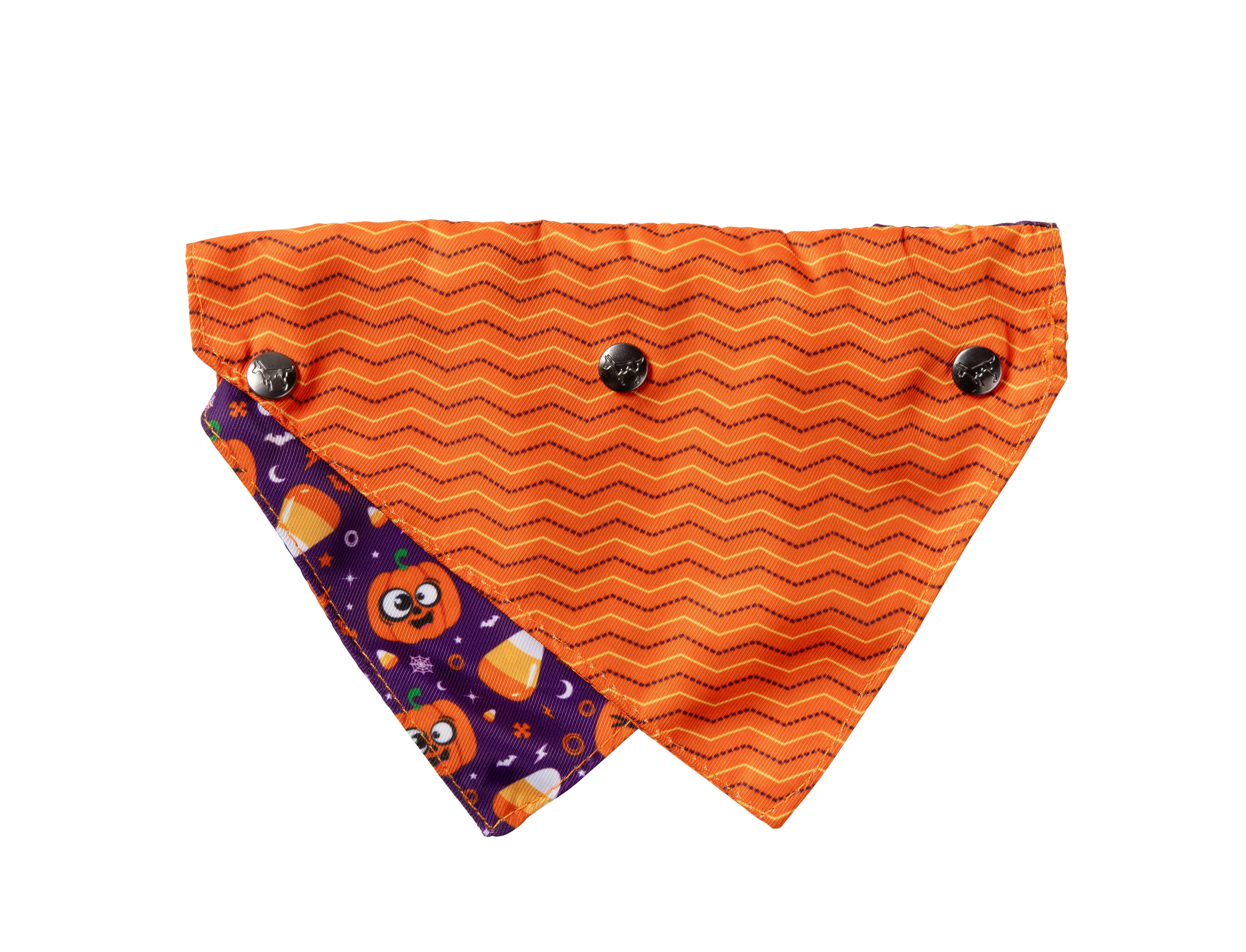 Goofy Gourds Bandana