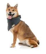 FuzzYard Life Knitted Bandana - Slate Grey