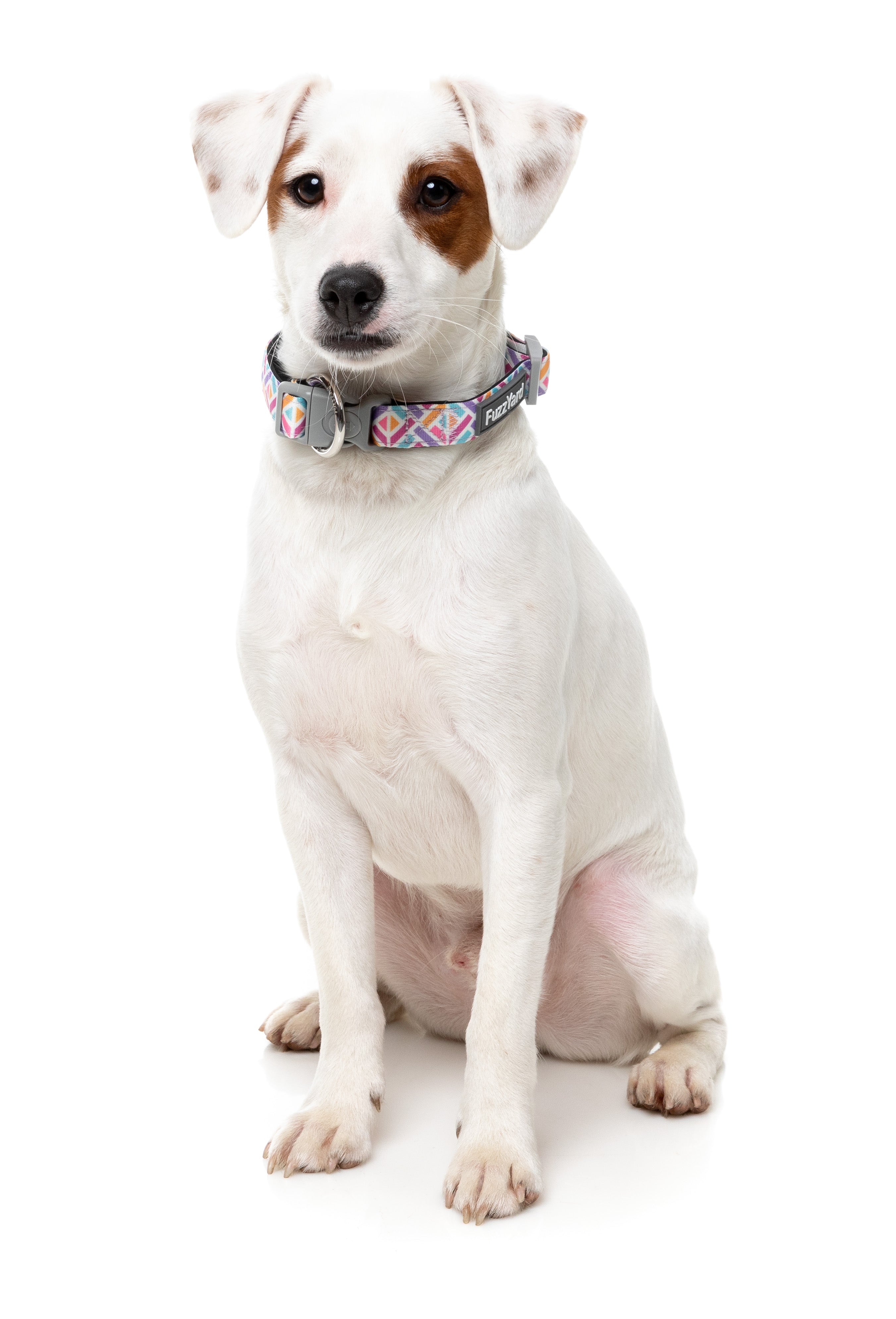 Bubblegum Burst - Dog Collar