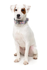 Bubblegum Burst - Dog Collar