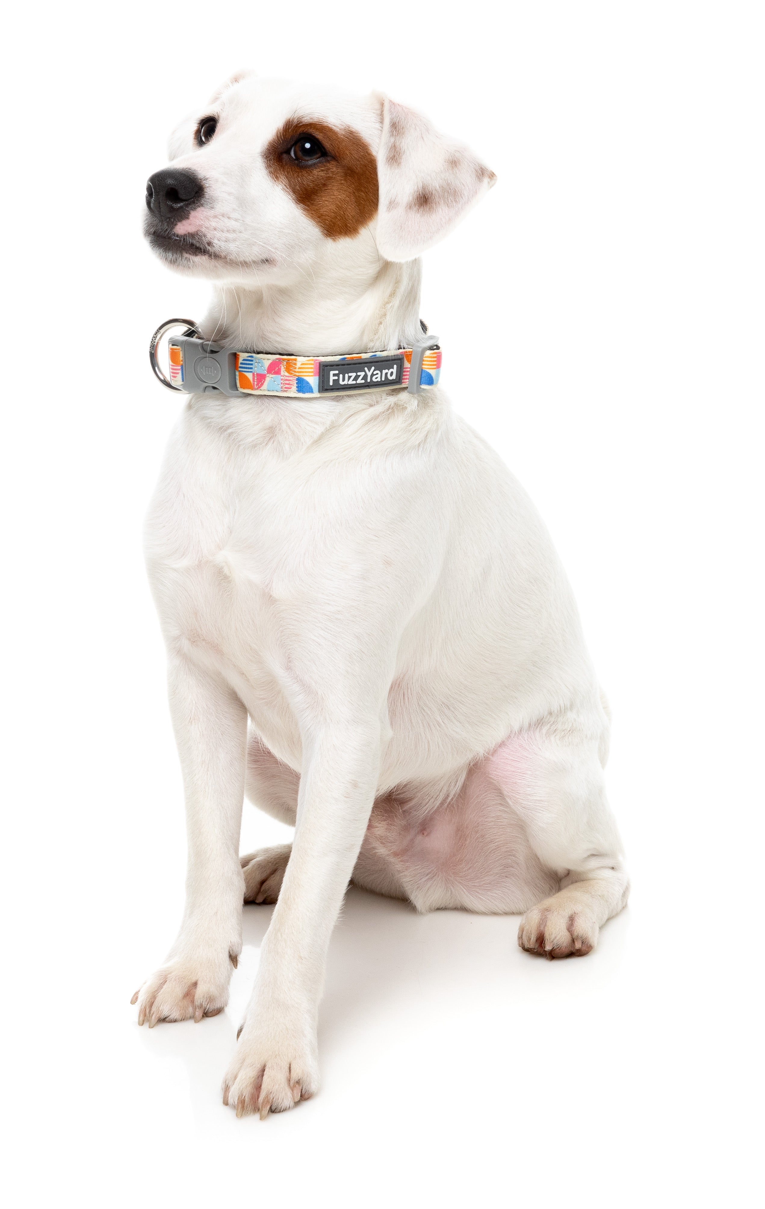 Fresh Zest - Dog Collar