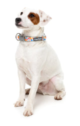 Fresh Zest - Dog Collar