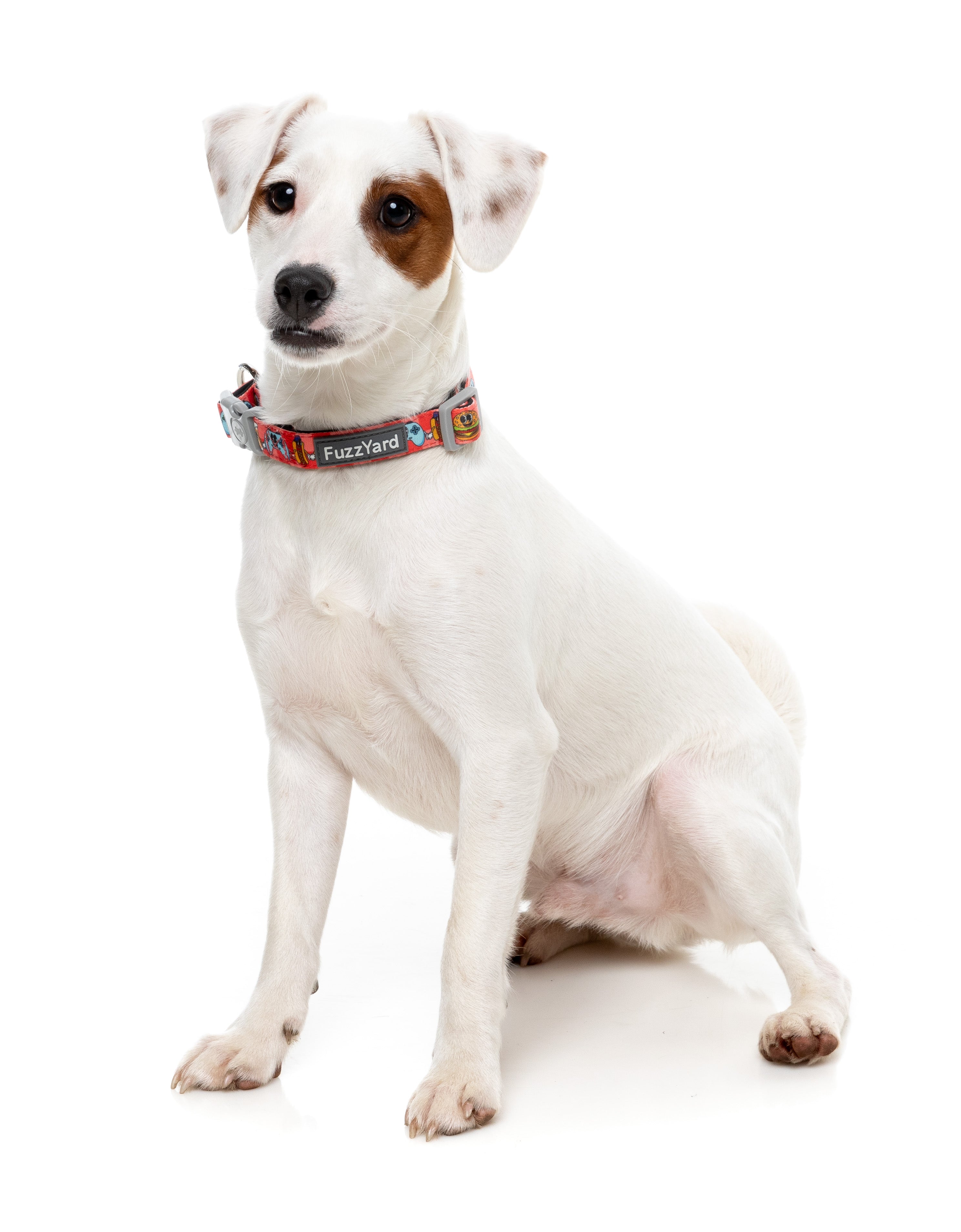 The Homies - Dog Collar
