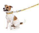 What The Duck - Dog Collar