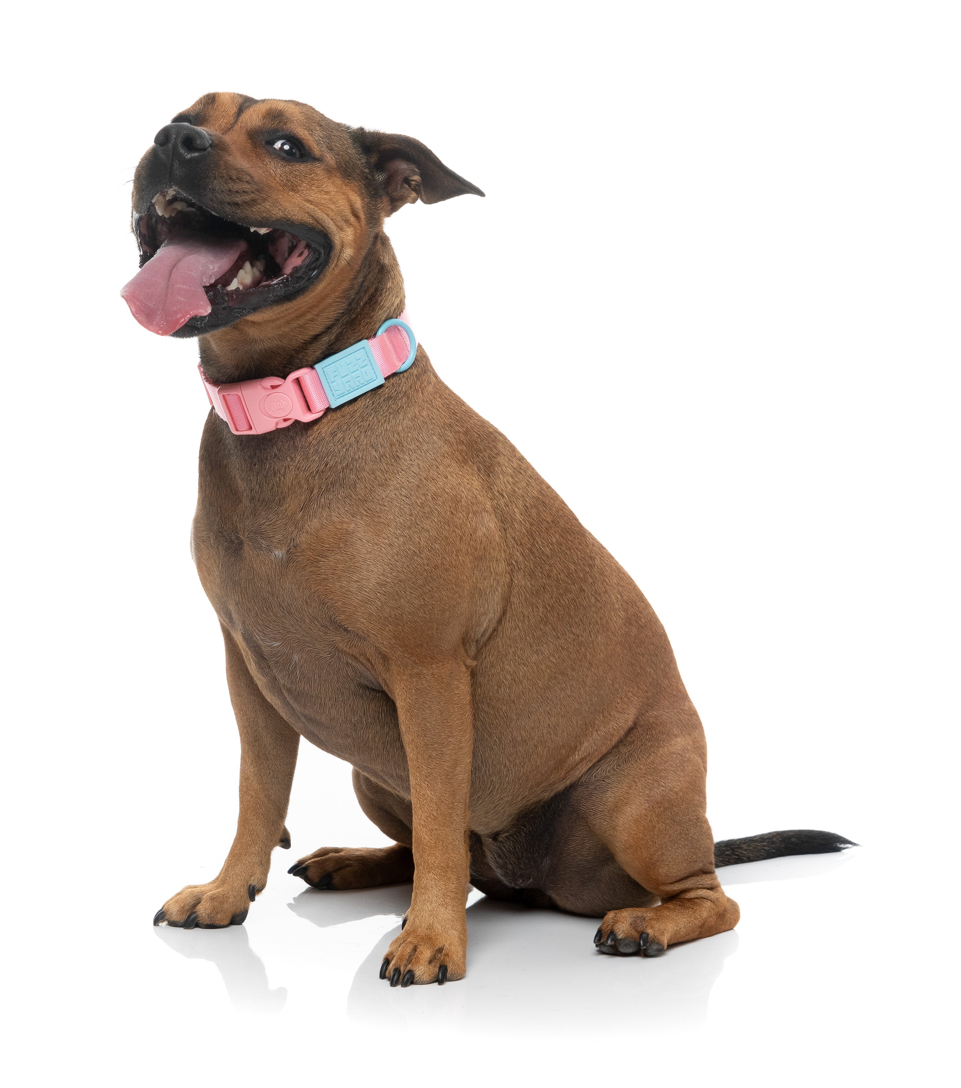 Sugar Rush Collar - Bubblegum Bliss