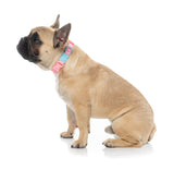 Sugar Rush Collar - Bubblegum Bliss