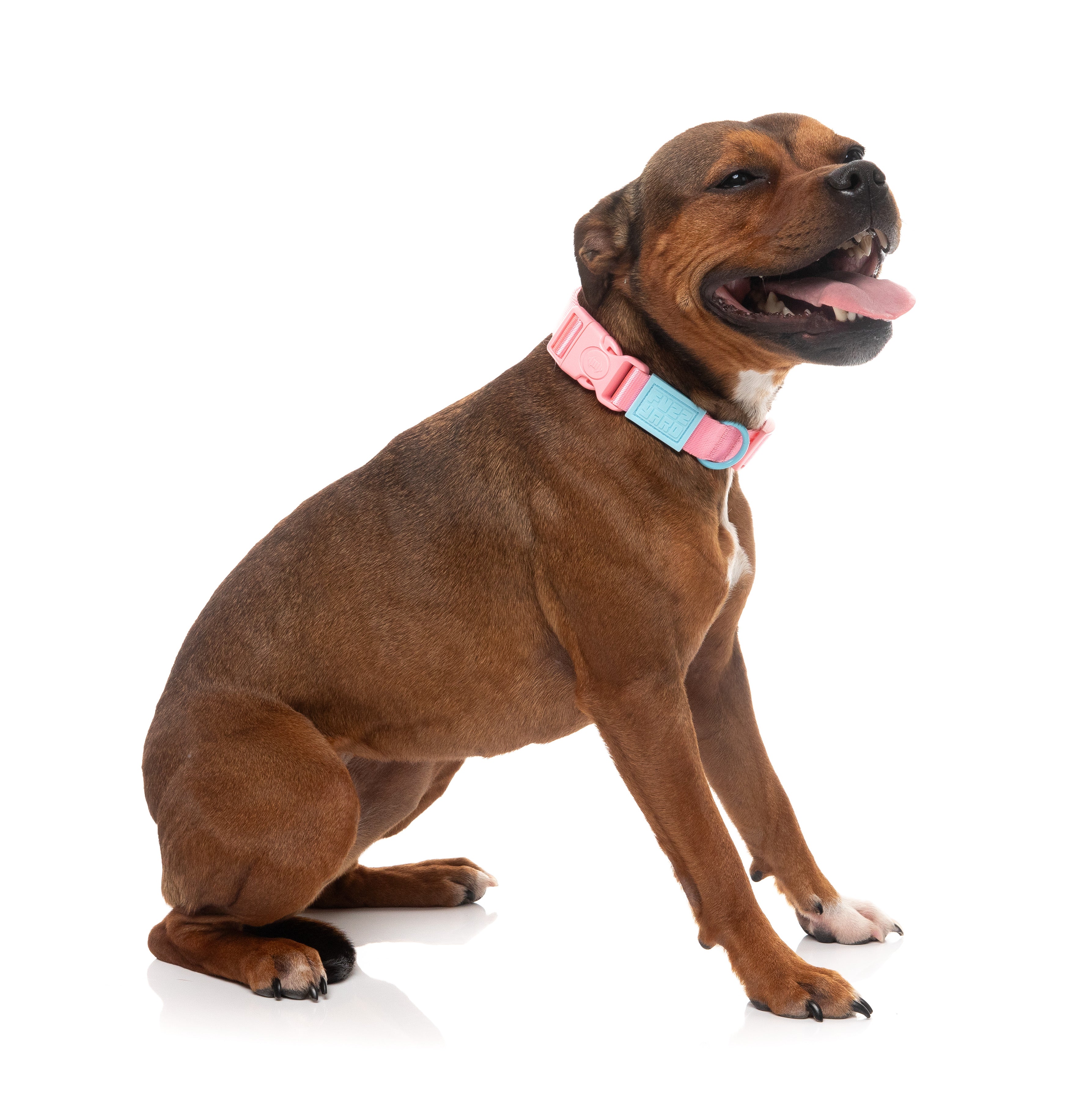 Sugar Rush Collar - Bubblegum Bliss