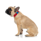 Sugar Rush Collar - Cherry Charge