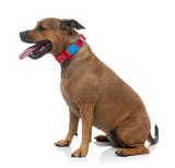 Sugar Rush Collar - Cherry Charge
