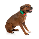 Sugar Rush Collar - Sour Patch
