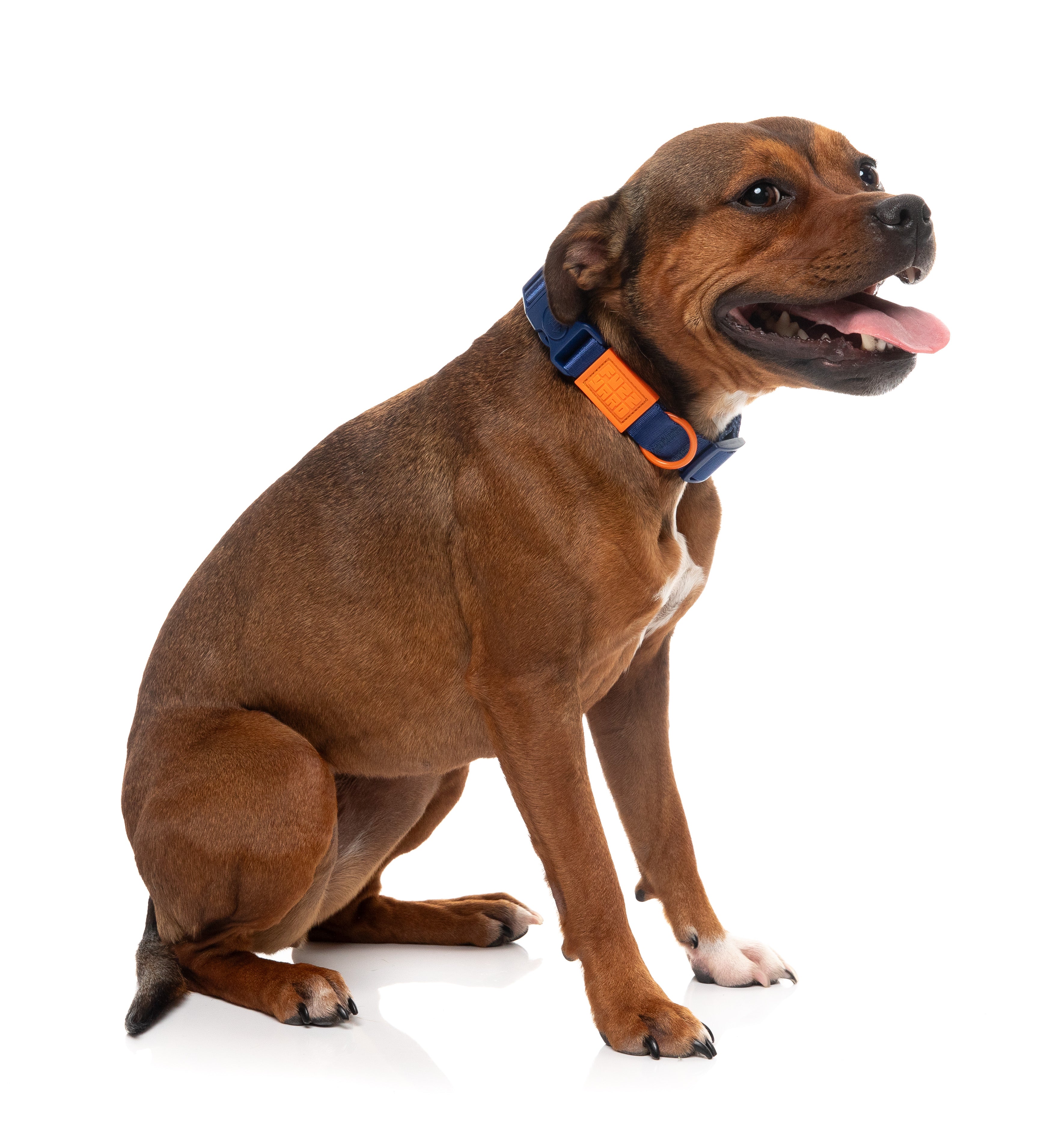 Sugar Rush Collar - Tangerine Twist