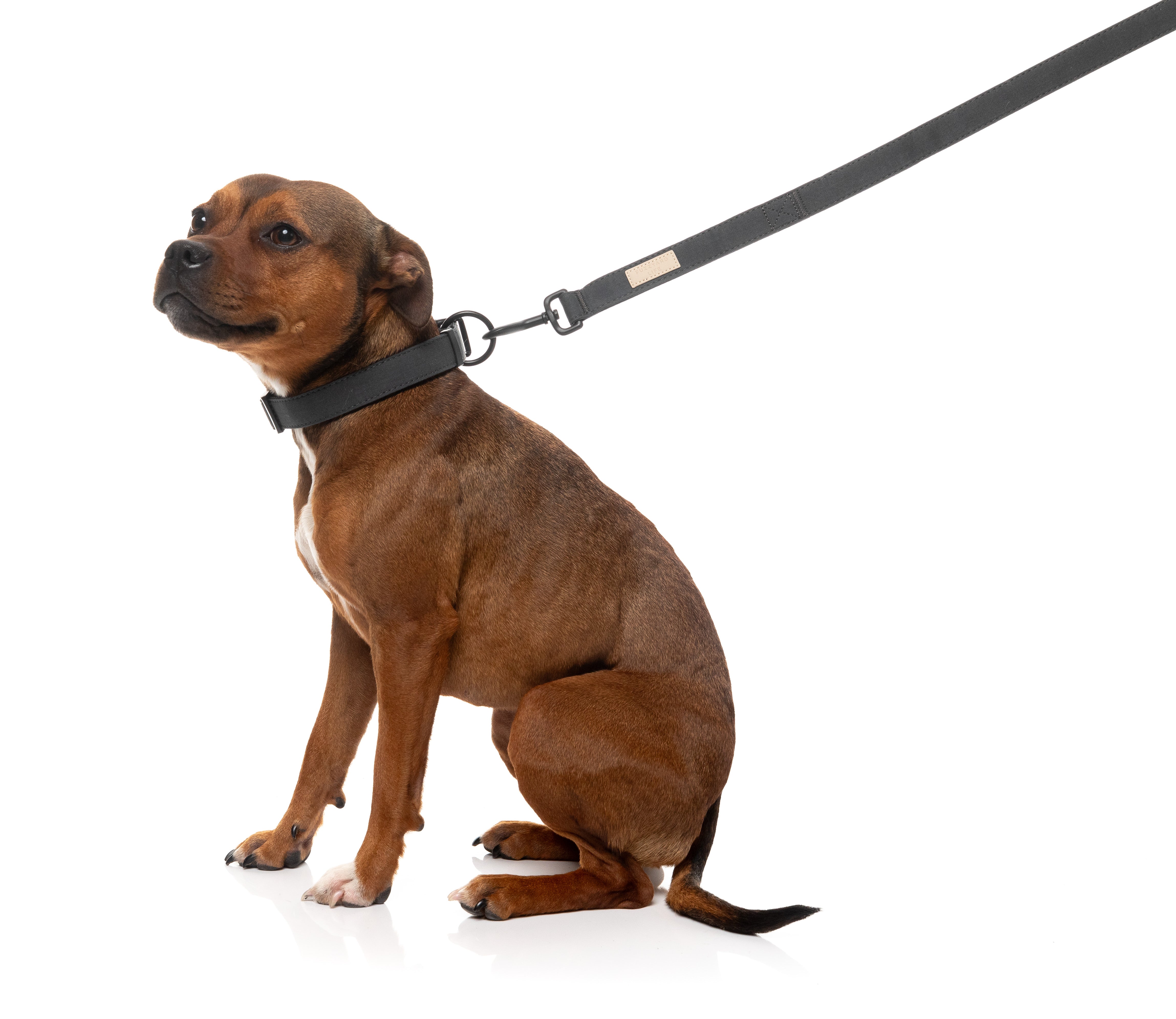 FuzzYard Life Dog Lead - Slate Grey