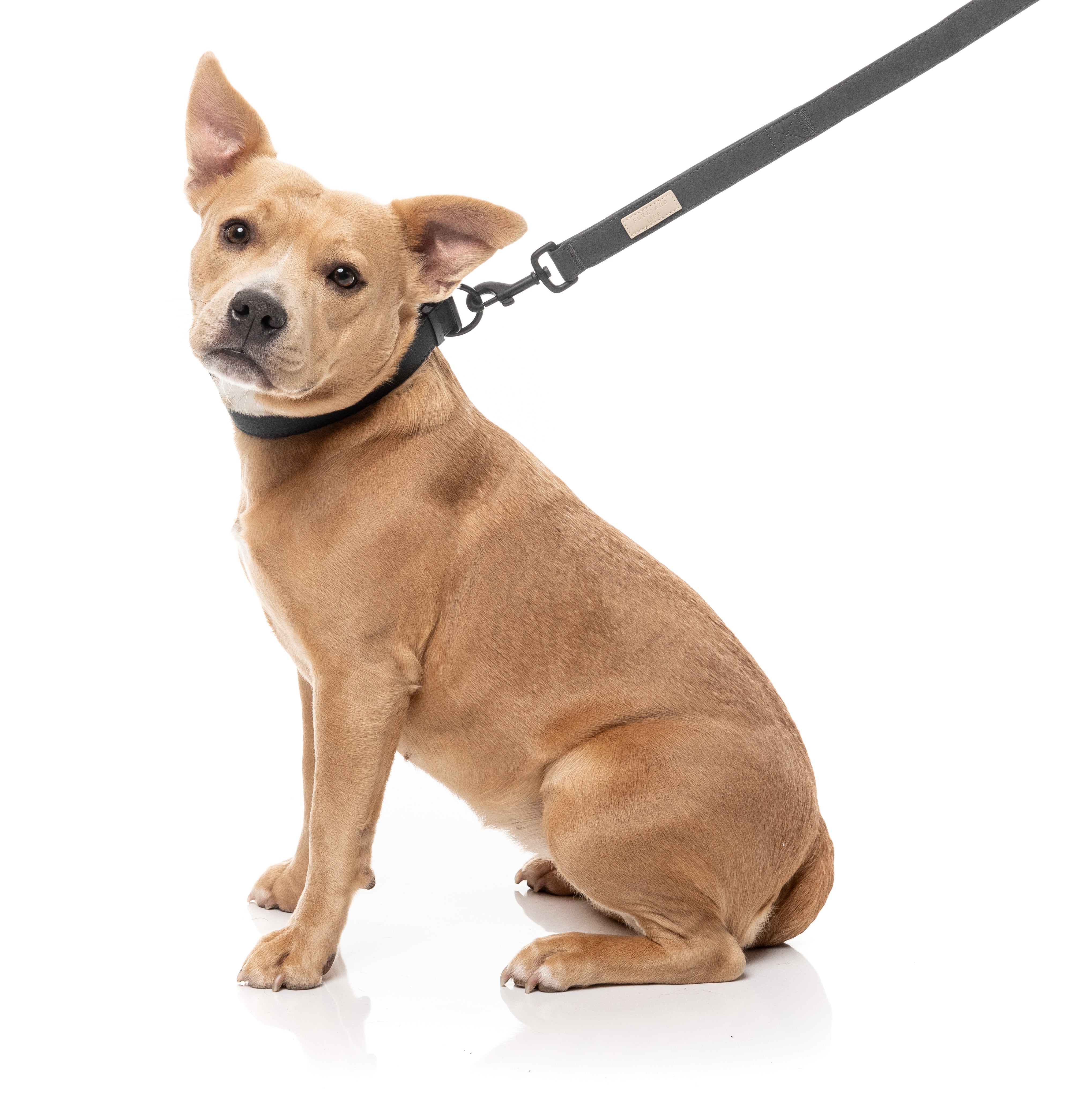 FuzzYard Life Dog Lead - Slate Grey