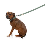 FuzzYard Life Dog Lead - Myrtle Green - Extra Small