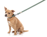 FuzzYard Life Dog Lead - Myrtle Green - Extra Small