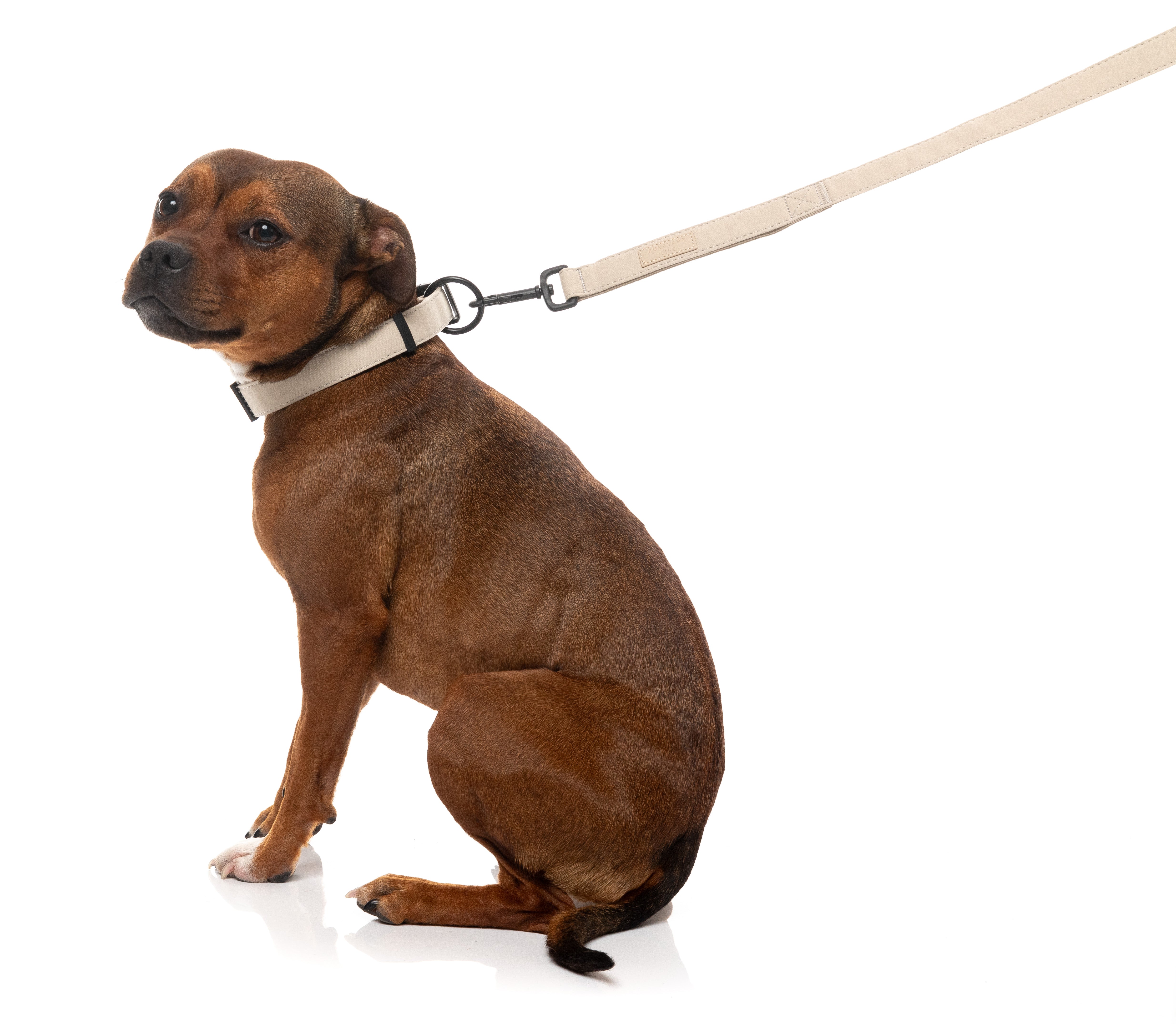 FuzzYard Life Dog Lead - Sandstone - Extra Small