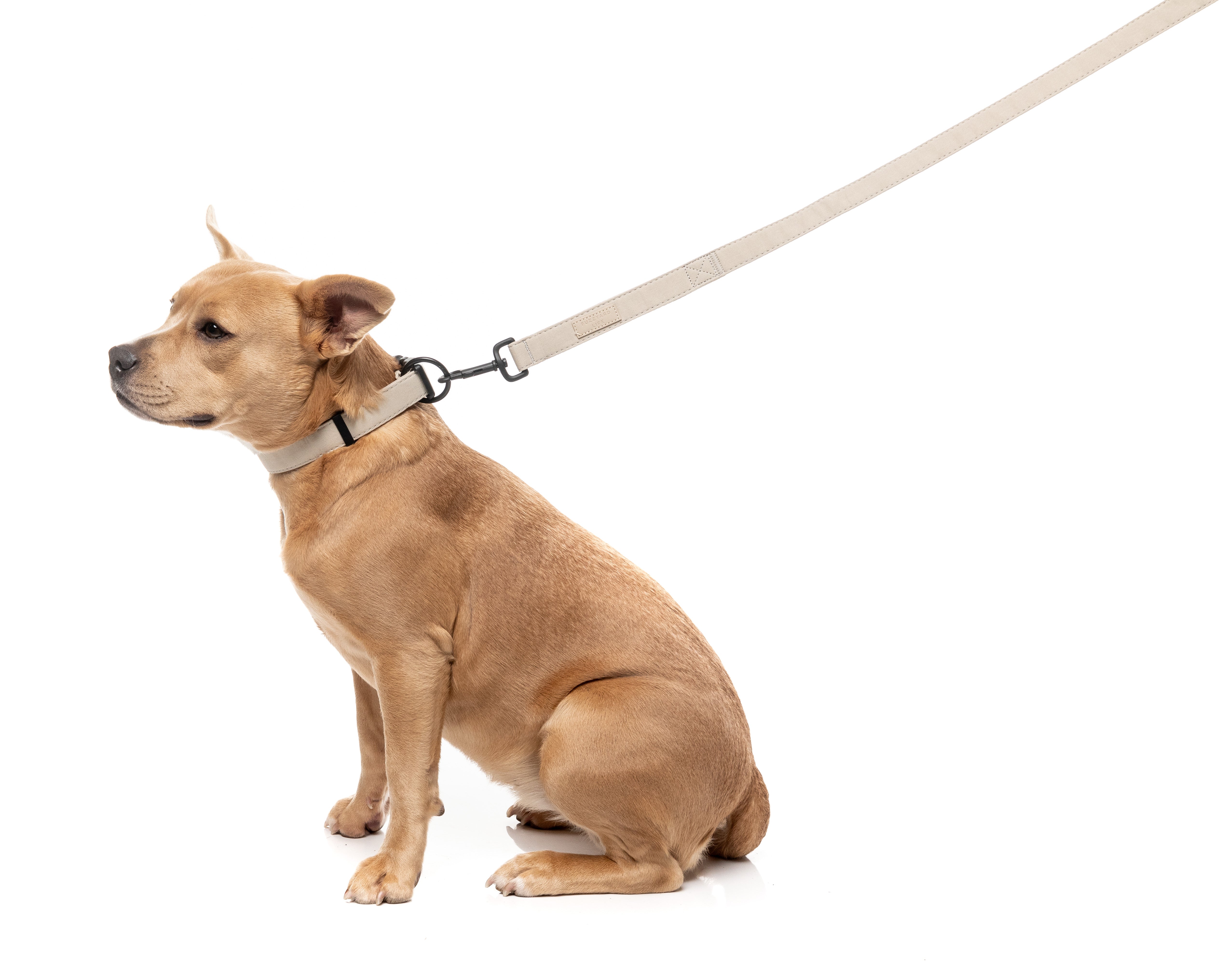 FuzzYard Life Dog Lead - Sandstone