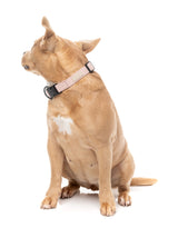 FuzzYard Life Dog Collar - Soft Blush - Extra Small