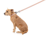 FuzzYard Life Dog Lead - Soft Blush - Extra Small