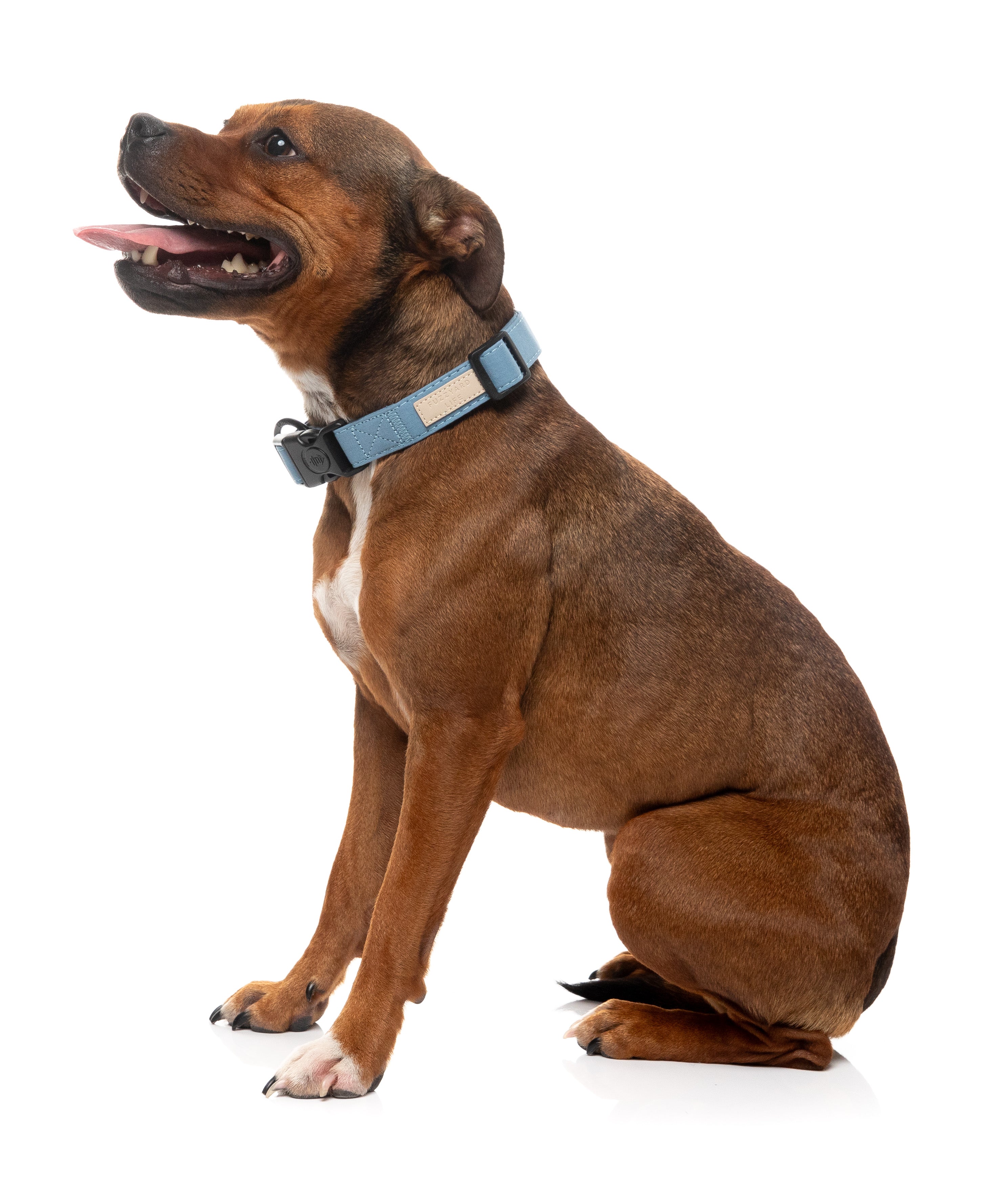 FuzzYard Life Dog Collar - French Blue - Extra Small
