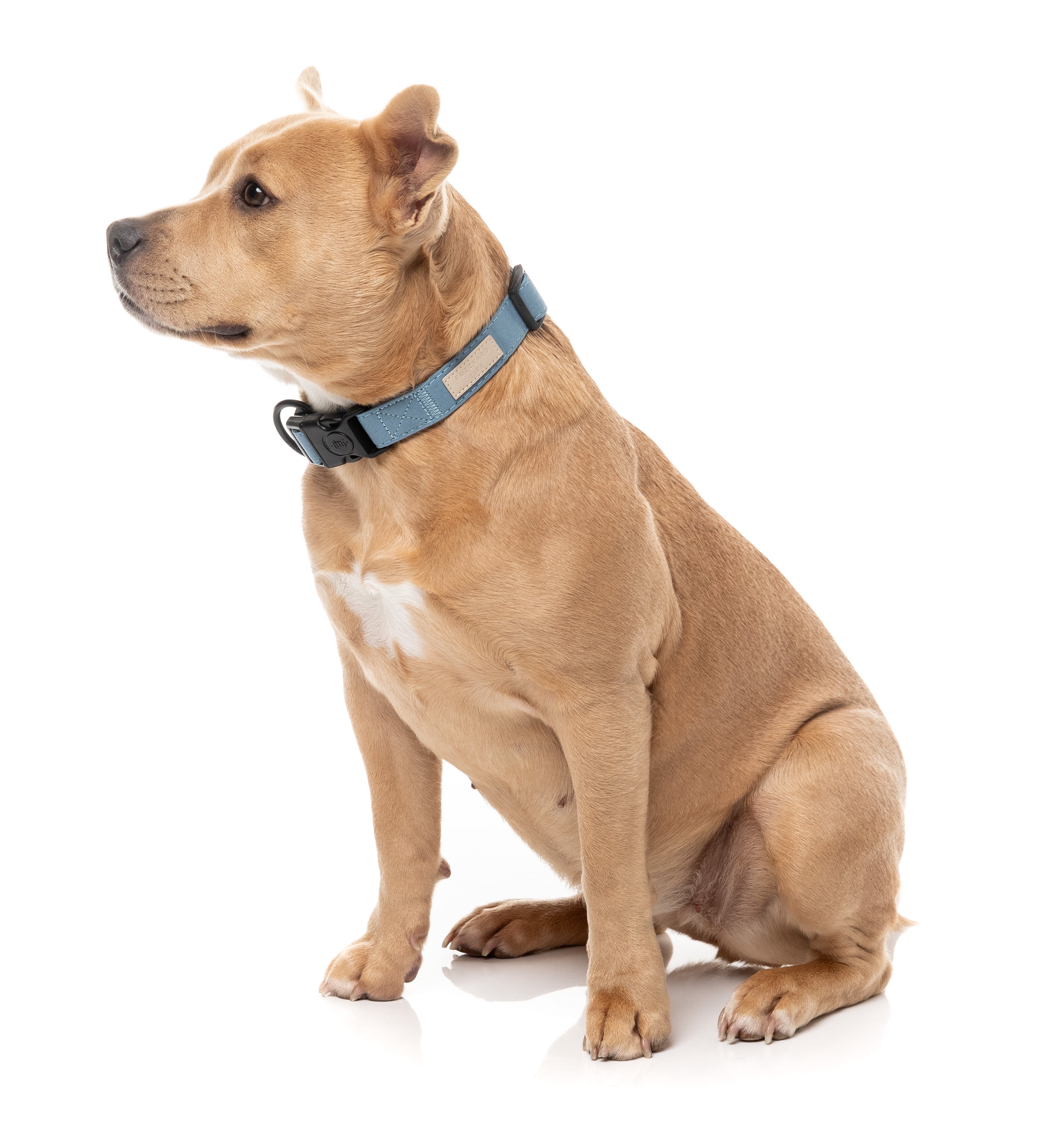 FuzzYard Life Dog Collar - French Blue