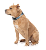 FuzzYard Life Dog Collar - French Blue - Extra Small