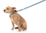 FuzzYard Life Dog Lead - French Blue