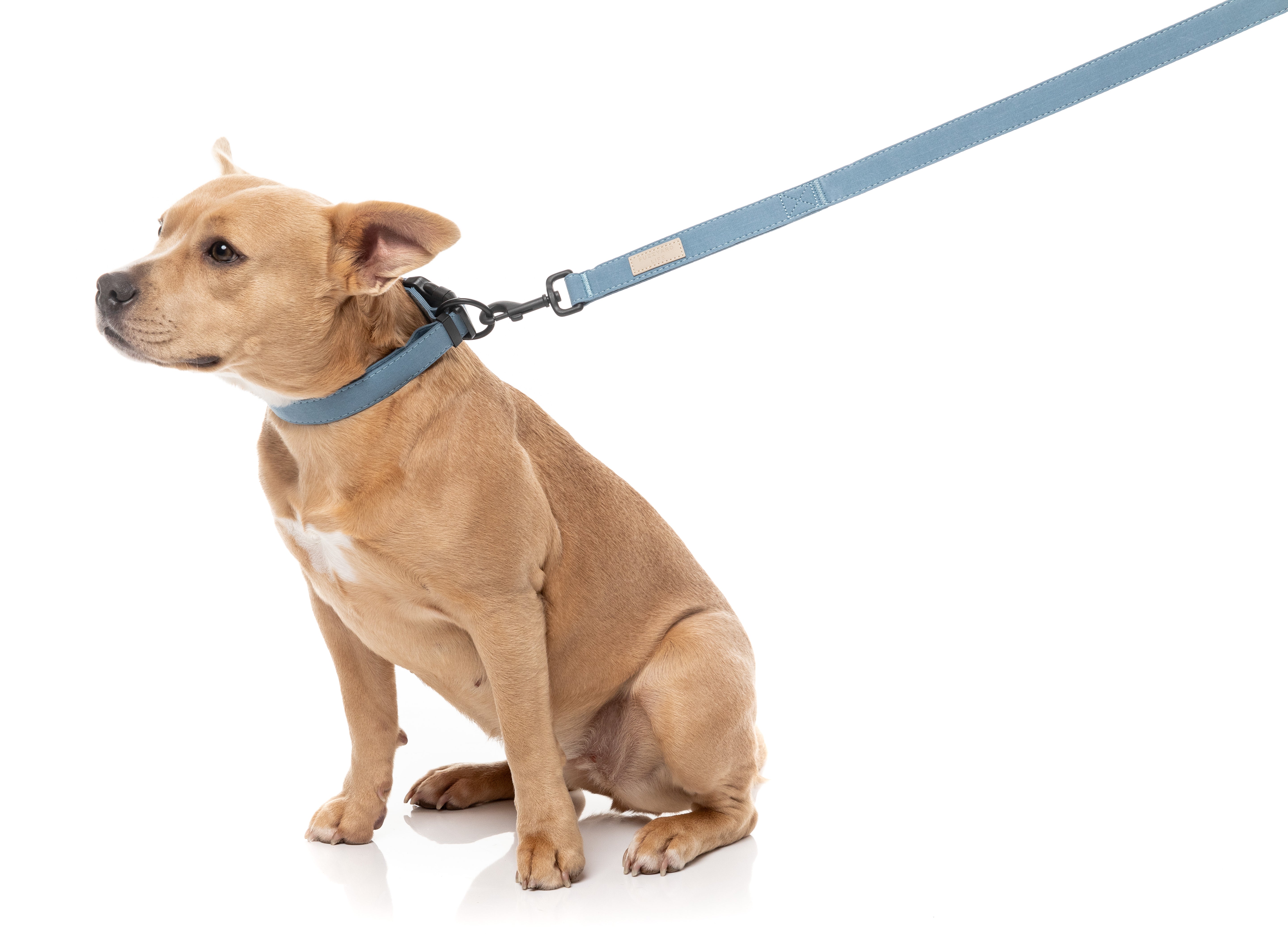 FuzzYard Life Dog Lead - French Blue - Extra Small
