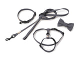 FuzzYard Life Cat Walking Set - Slate Grey