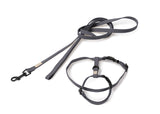 FuzzYard Life Cat Walking Set - Slate Grey