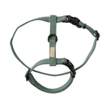 FuzzYard Life Cat Walking Set - Myrtle Green