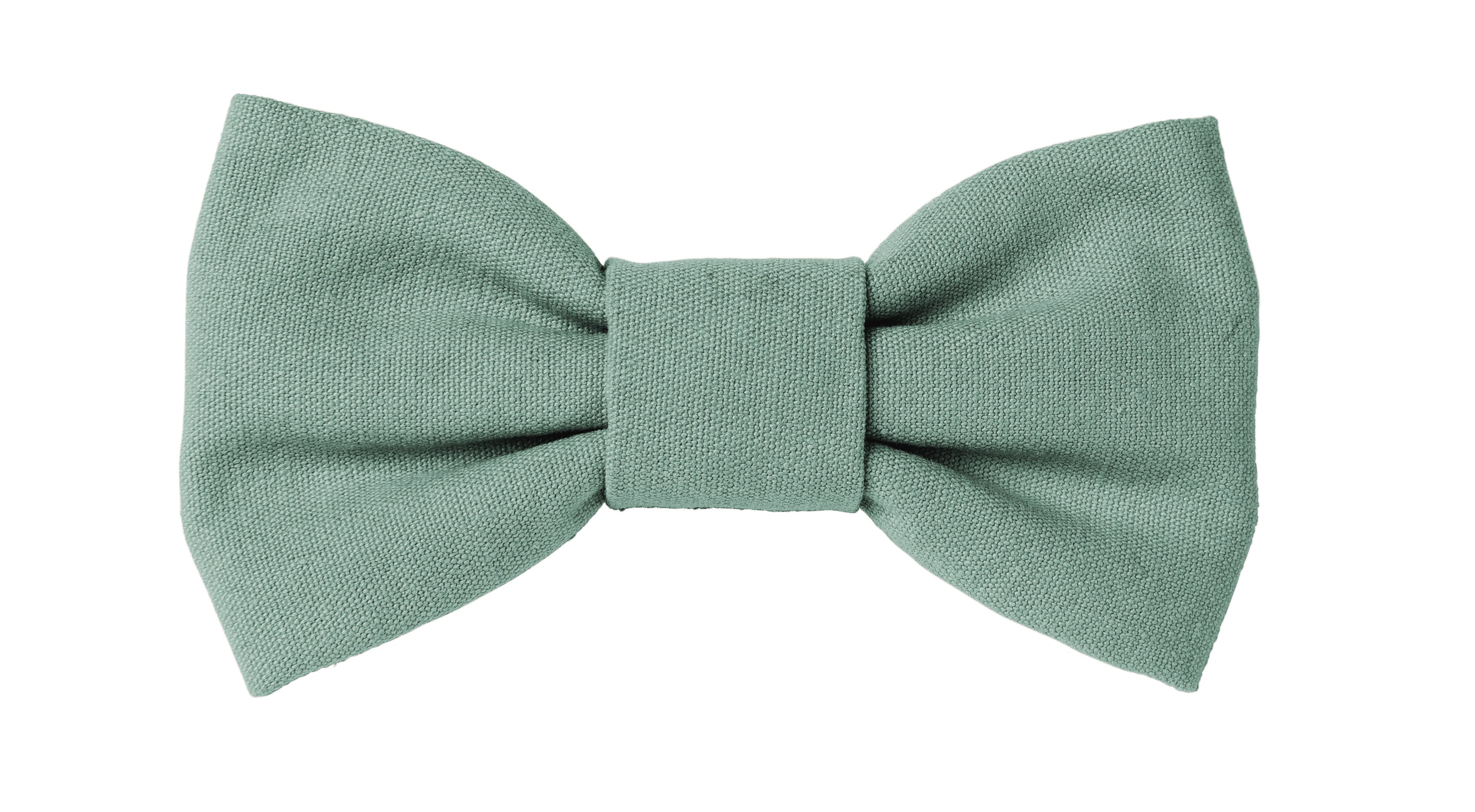 FuzzYard Life Cat Walking Set - Myrtle Green