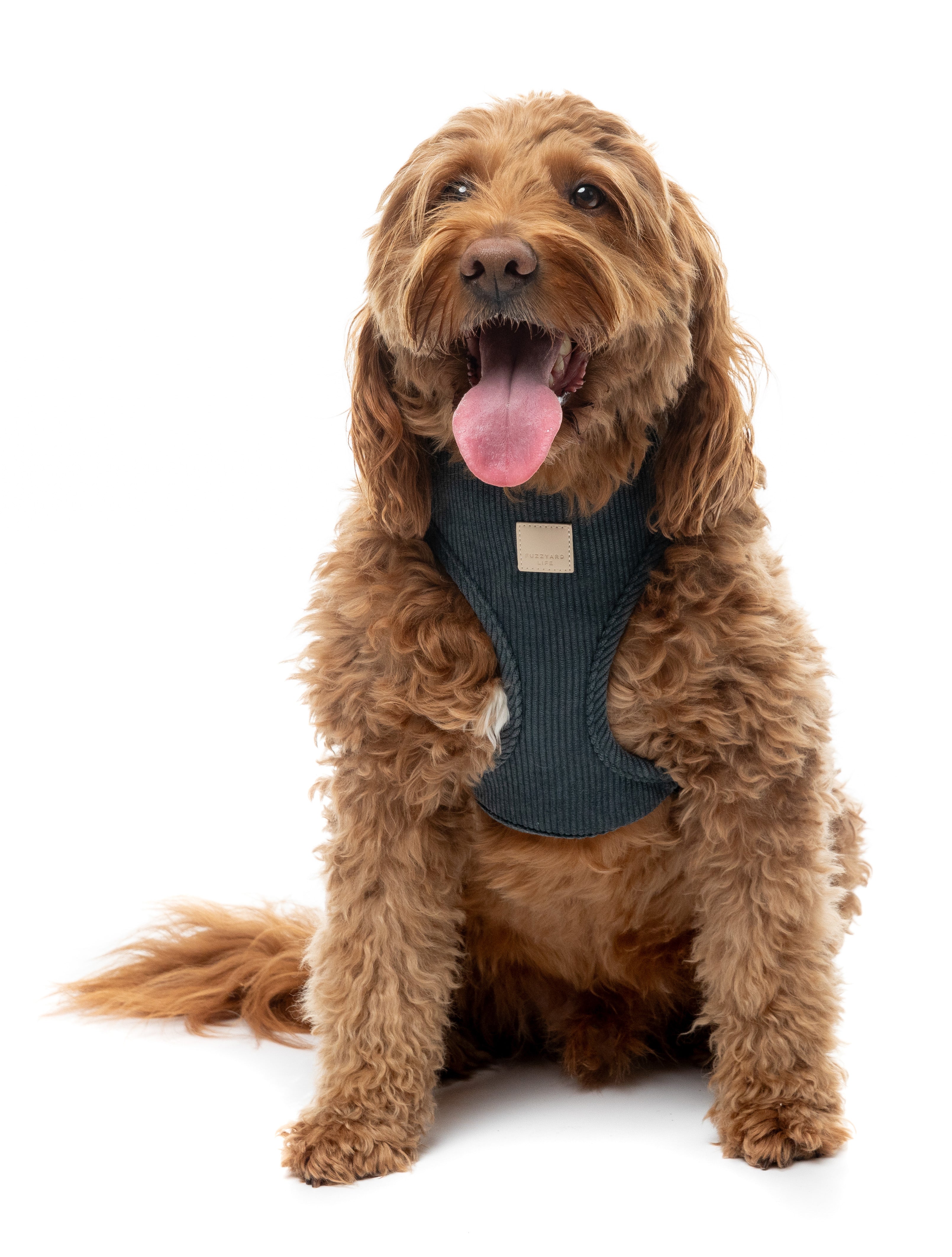 FuzzYard Life Corduroy Step In Harness - Slate Grey