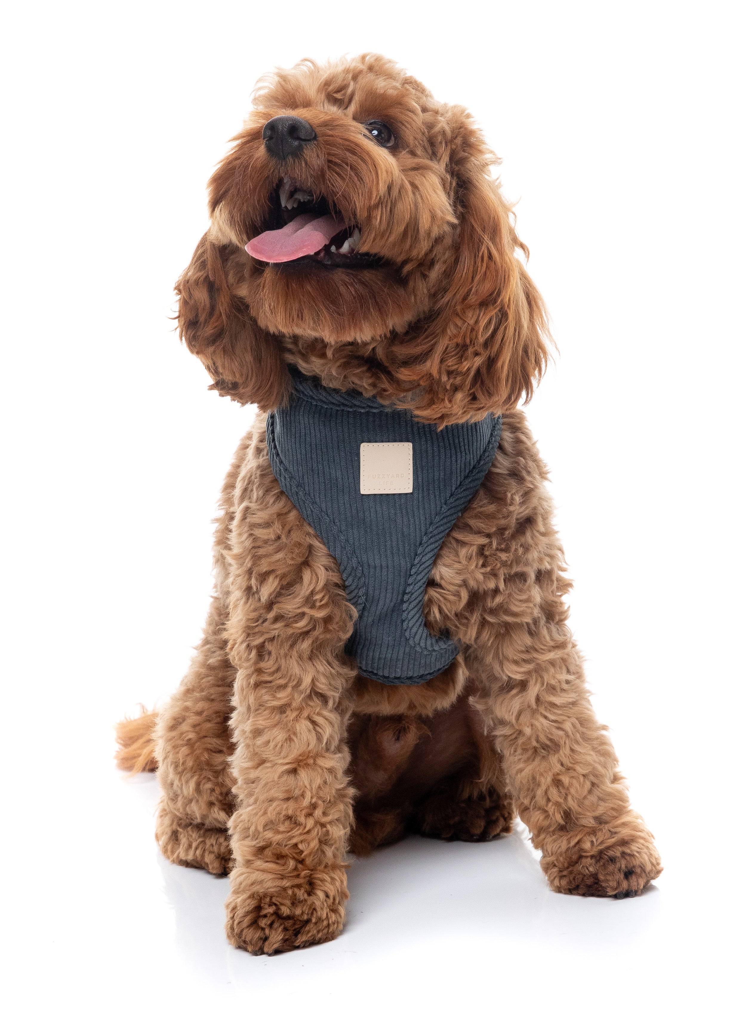 FuzzYard Life Corduroy Step In Harness - Slate Grey