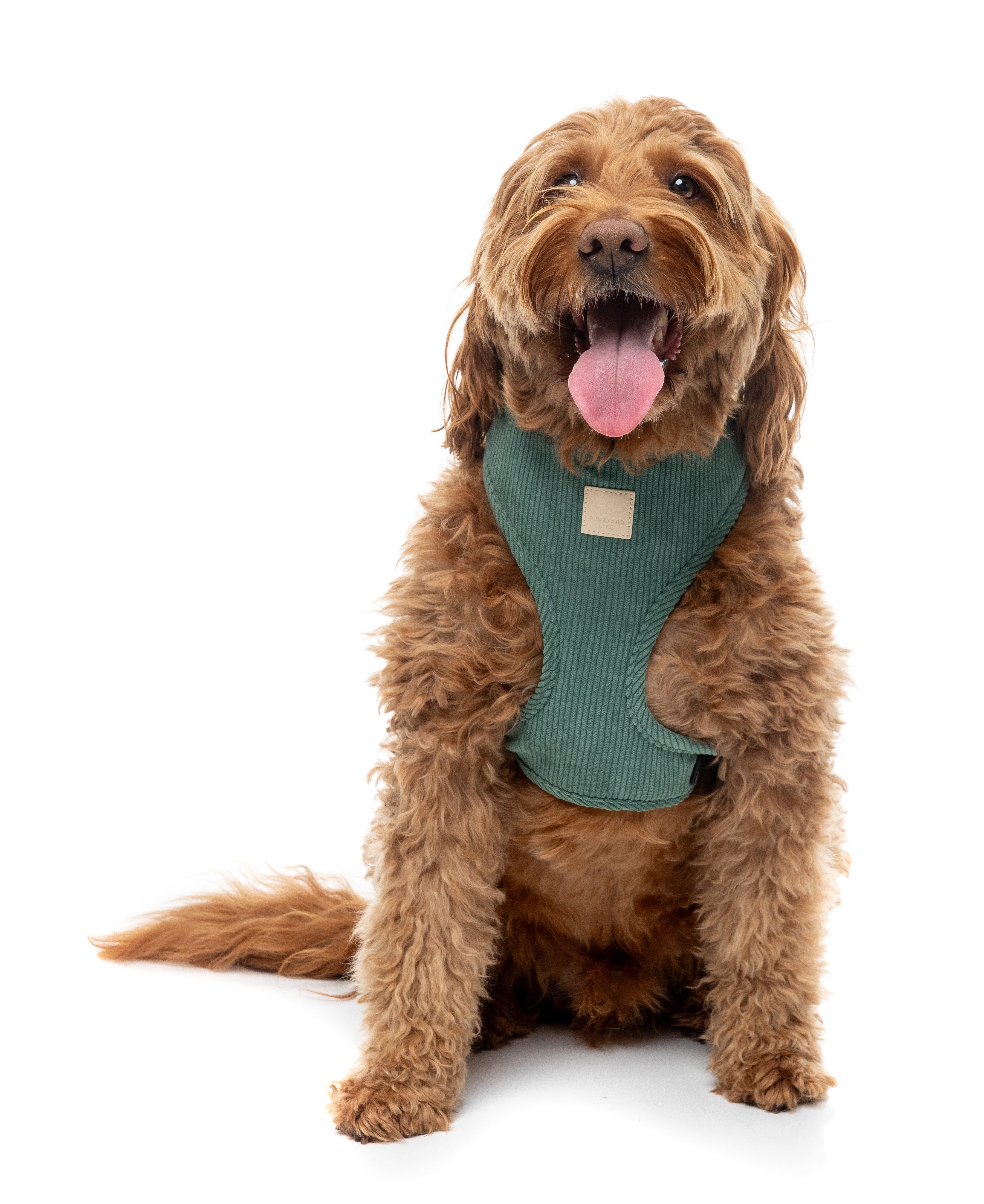 FuzzYard Life Corduroy Harness - Myrtle Green