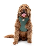 FuzzYard Life Corduroy Harness - Myrtle Green