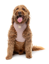 FuzzYard Life Corduroy Harness - Soft Blush