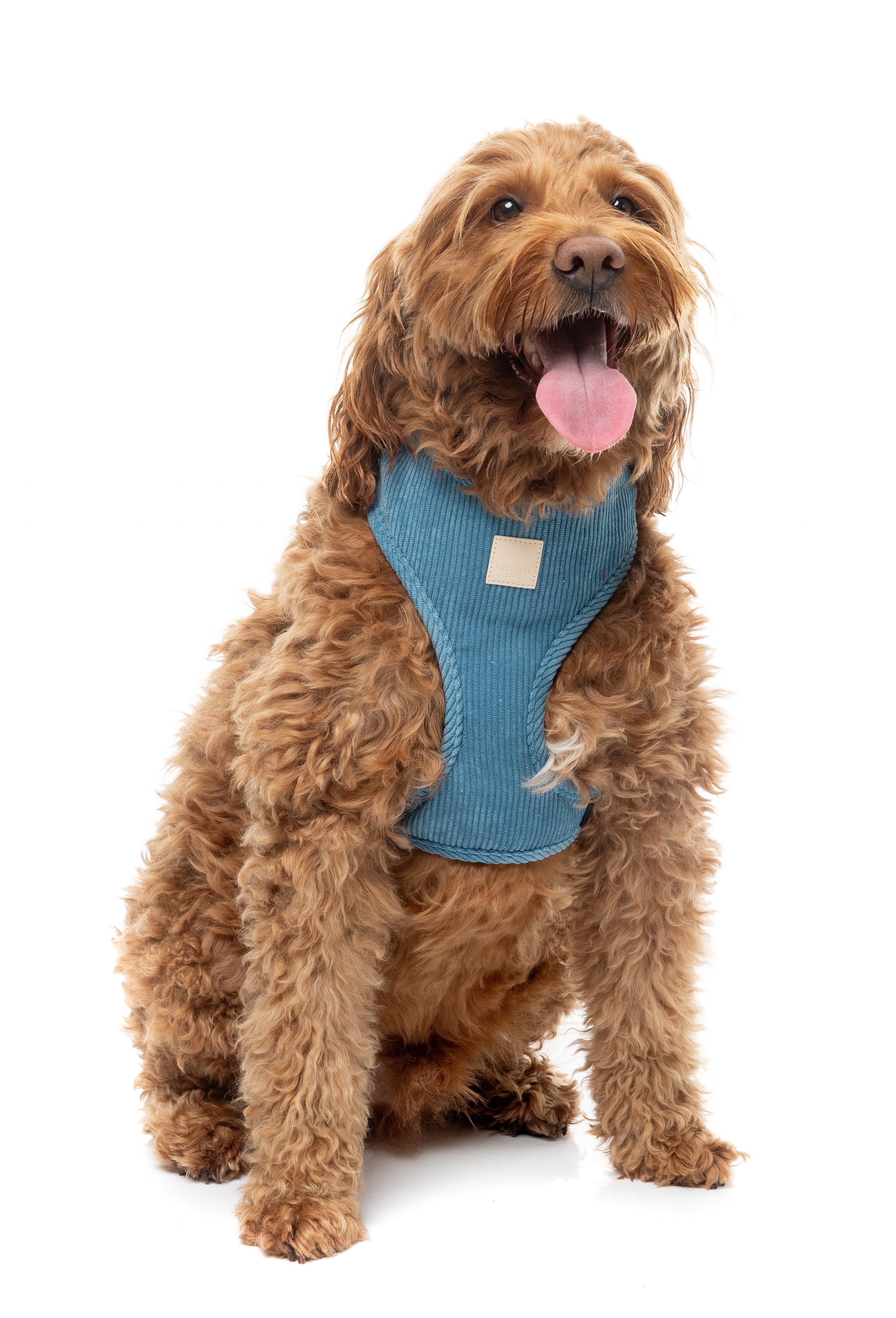 FuzzYard Life Corduroy Step In Harness - French Blue