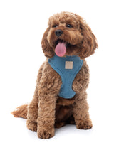 FuzzYard Life Corduroy Harness - French Blue