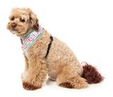 Bubblegum Burst - Dog Harness