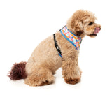Fresh Zest - Dog Harness