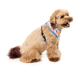 Fresh Zest - Dog Harness