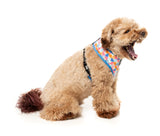 Fresh Zest - Dog Harness