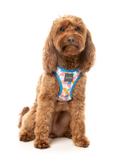 Fresh Zest - Dog Harness